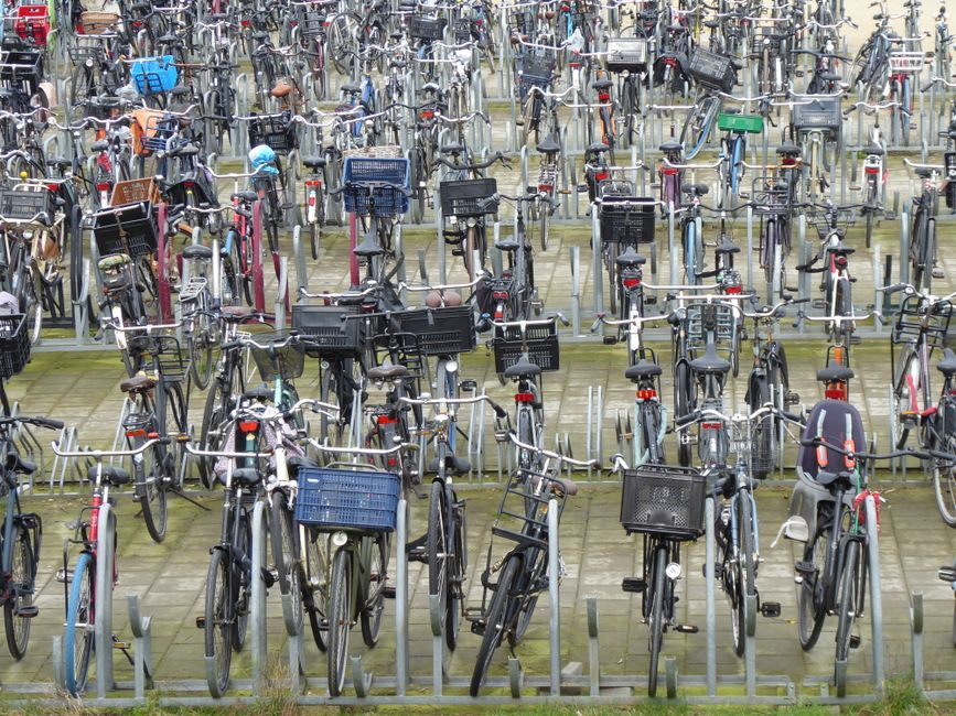 Cadeau voor fietsliefhebber