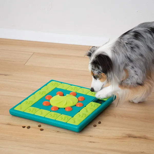 Interactieve hondenpuzzel met snacks