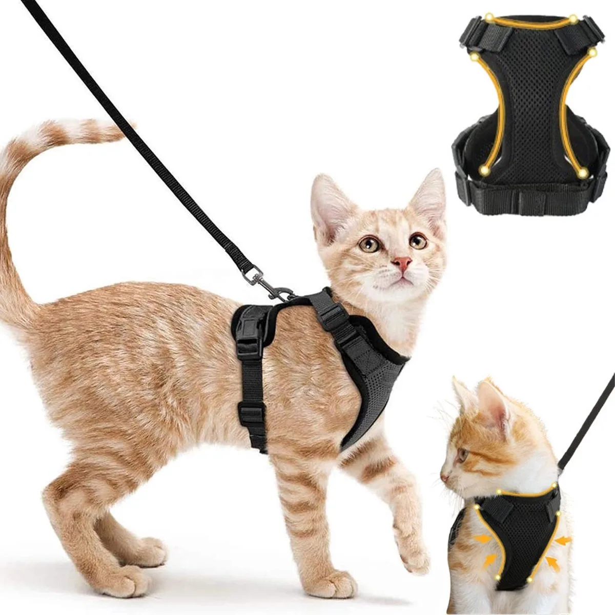 Kattenharnas met looplijn