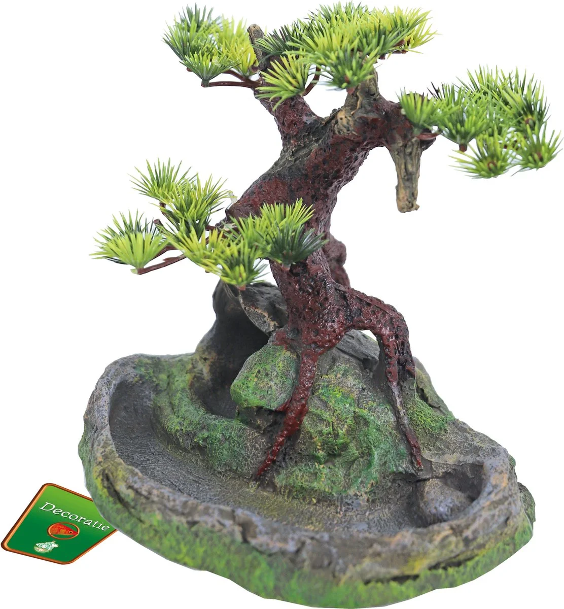 Bonsai boom op rots