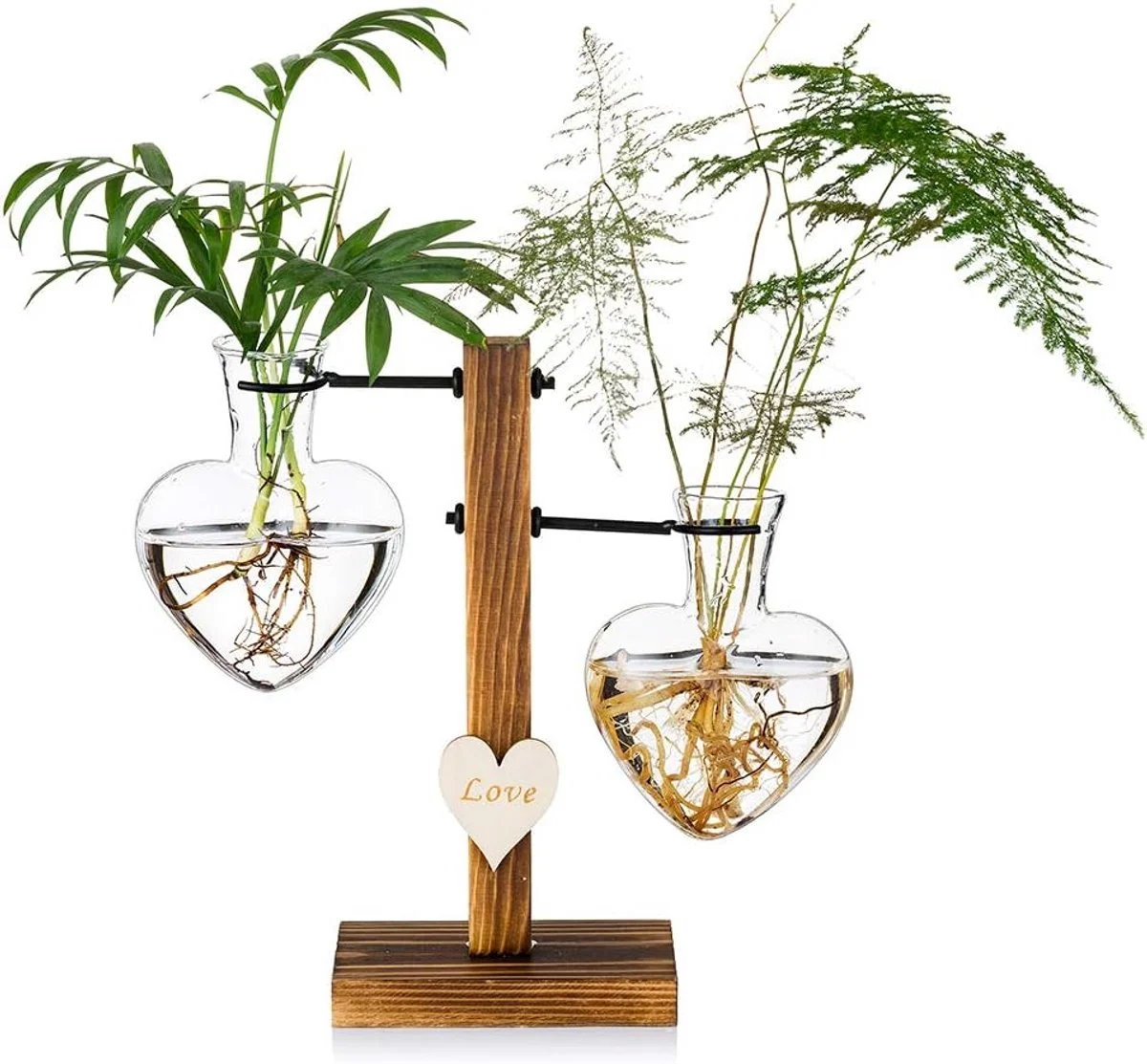 Glazen plantenterrarium met houten standaard