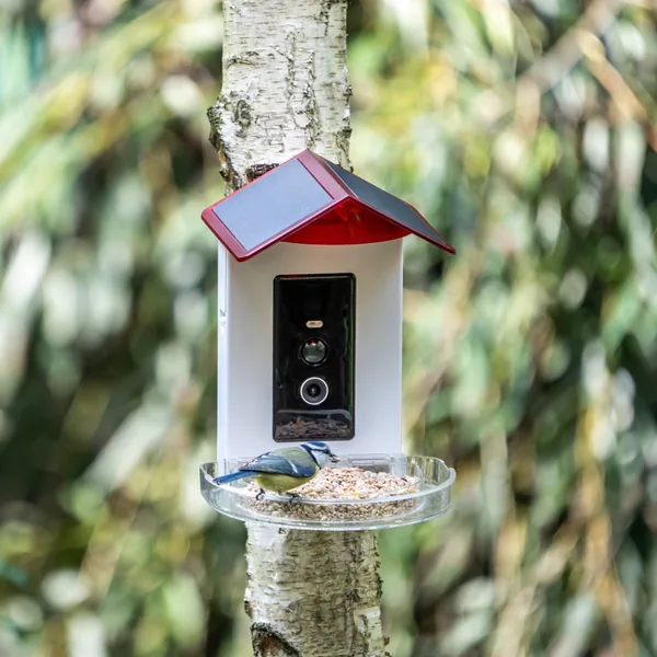 CJ Wildlife vogelhuisje met AI-camera voor automatische vogelherkenning