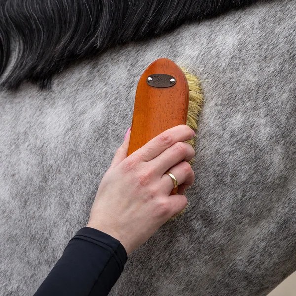 QHP Borstelset Royal als cadeau voor paardenliefhebber